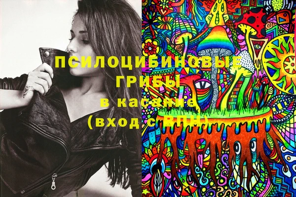 бошки Алексеевка