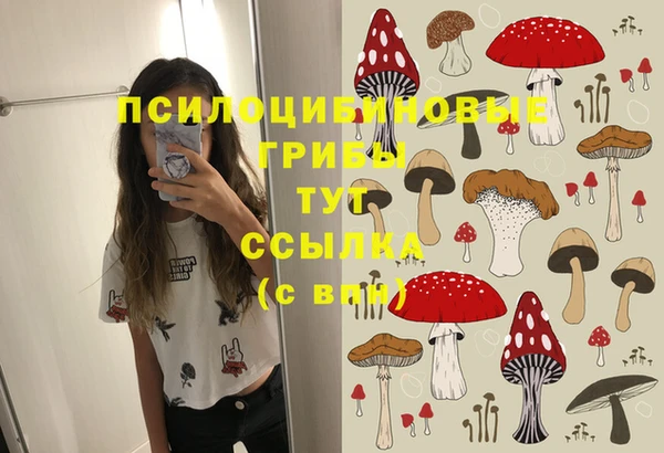 бошки Алексеевка