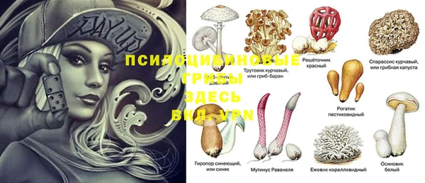 крисы Алзамай