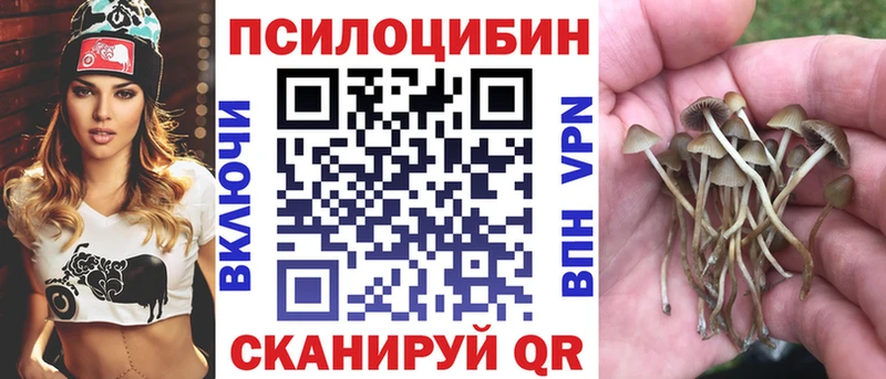 Псилоцибиновые грибы MAGIC MUSHROOMS  Ленинск-Кузнецкий 